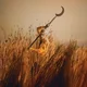 Patrick Wolf - Crying The Neck (Limited Edition) (Brown /Yellow Coloured) (2 LP)