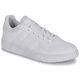 adidas  Nizke superge HOOPS 3.0  Bela
