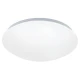 Eglo 32589 - LED RGB prigušiva zidno-stropna svetiljka GIRON-C LED/17W/230V