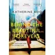 Behind the Beautiful Forevers