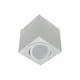 Spot svetlo FEBE 1xGU10/30W/230V belo