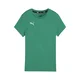PUMA Funkcionalna majica TeamGoal zelena/bela