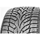 Nankang Winter Activa SV-3 ( 225/50 R16 96V XL  )