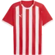 Puma Dres teamLIGA26 Striped