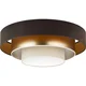 Duolla - LED plafonsko svetlo LUNETA LED/26W/230V prečnika 60 cm 4000K braon/zlatna