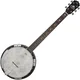 SX BJ556VS Banjo