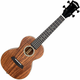 Cascha HH 2310 All Solid Acacia Concert