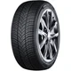 Nexen Zimska guma 205/60R17 93H