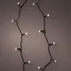 Lumineo DurawiseTwinkle led novogodišnje lampice na baterije L710cm 497141