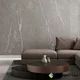 Casania Gray TT
