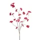 Cvetna veja Beauty 126 cm roza - roza - 101 do 150 cm