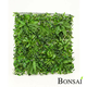 Zelena stena 100x100 cm z rastlinami - zelena - 25 do 50 cm - 31 do 50 cm