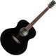 Pasadena PJ-300 Black Akustična kitara Jumbo (Kot novo)