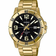 Casio collection muški sat ( MTP-VD01G-1B )