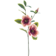 Magnolija veja krem roza 84cm