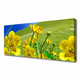 tulup.si Slika na platnu Rainbow travnik flowers narava 120x60 cm