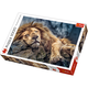 Trefl Puzzle Sleeping Lion 1000pcs 10447