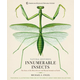 Innumerable Insects