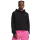 Under Armour ICON FLEECE HOODIE, pulover ž., črna 6013544