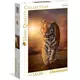Clementoni puzzla Tiger 1500pcs 31806