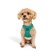 Paws & Whiskers Am za pse Air-Mesh, Svetlozeleni