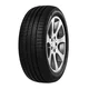 Minerva Ecospeed 2 SUV ( 295/35 R21 107Y XL )