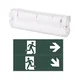 Aigostar - LED sigurnosno svetlo IZLAZ U NUŽDI LED/4W/230V IP65 6500K 600mAh