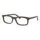 Ray-Ban RX5450 2012