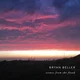 Bryan Beller - Scenes From The Flood (Limited Edition) (Blue Swirl Coloured) (2 LP)