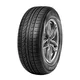 Radar RPX800 RFT ( 205/55 R17 95Y XL , runflat )