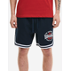 Moške kratke hlače Lonsdale regular fit