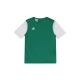 ADIDAS PERFORMANCE Funkcionalna majica ESTRO 19, zelena