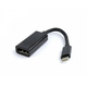 E-GREEN Adapter USB 3.1 tip C (M) - Display Port (F) crni