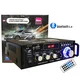 Bluetooth pojacalo 12v BT-298A