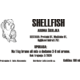 K-Baits Aroma Shellfish