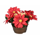 Cvet GERBERA Jesenski aranžma v skledi 25cm