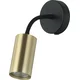 FORMA Zidna lampa F1202-1Z 1xGU10 Zlatne boje