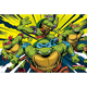 Maxi poster GB eye Animation: TMNT - Turtles in action