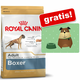 hrana za pse Royal Canin Breed Dalmatian Puppy - 2 x 12 kg
