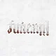 Lil Wayne Funeral (2 LP)