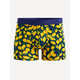 Celio Boksarice Gibolemon M