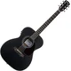 Pasadena PG-200E Black Elektroakustična jumbo (Kot novo)