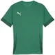 Dres Puma teamGOAL Matchday Jersey