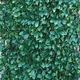 Tenax Sintetična živa meja Divy 3D X-Tens Osmanthus 1 m x 2 m zelena