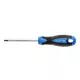 HOEGERT HT1S053 Izvijač TORX T10, 100 mm, S2
