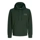 JACK & JONES Majica žad / jelka