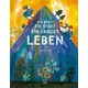 Ein Berg, ein Sturz, ein langes Leben