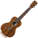 Cordoba 20CM Concert Size ukulele