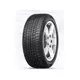 Viking 225/40R18 WinTech 92V XL FR