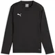 Mikica Puma teamGOAL Training Sweat Jr